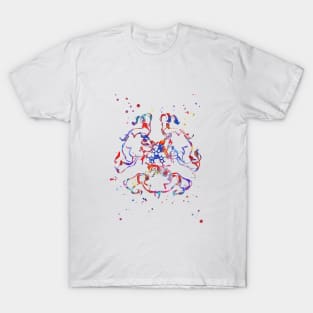 Insulin structure T-Shirt